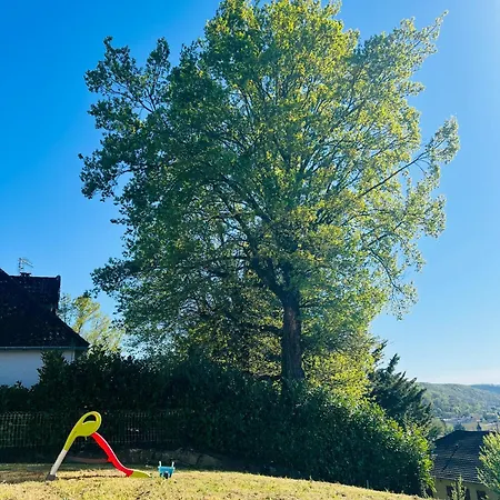 Avec Terrasse Et Jardin דירה
